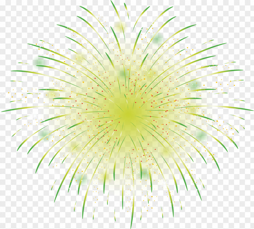 Green Beautiful Fireworks Flash Light PNG