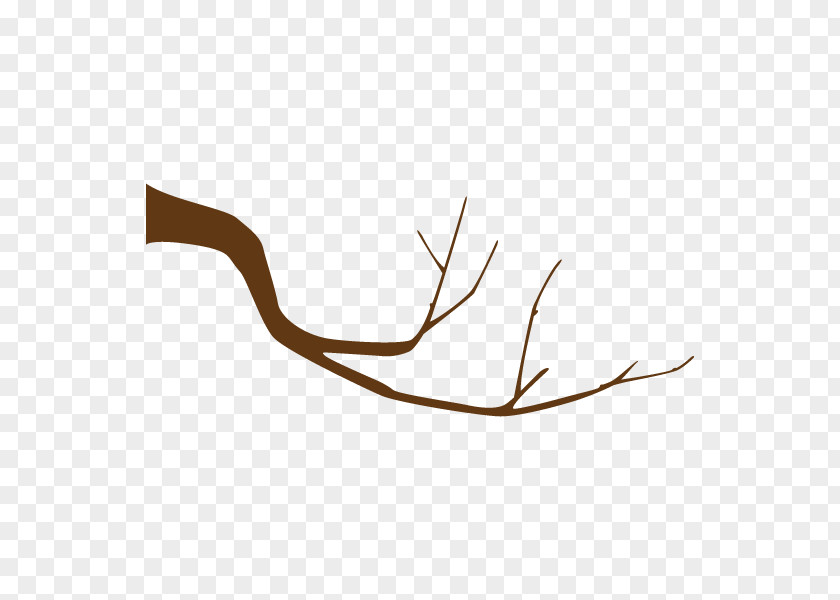 Illustration Branch Twig Illustrator Tree PNG