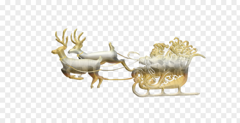 Reindeer Wildlife PNG