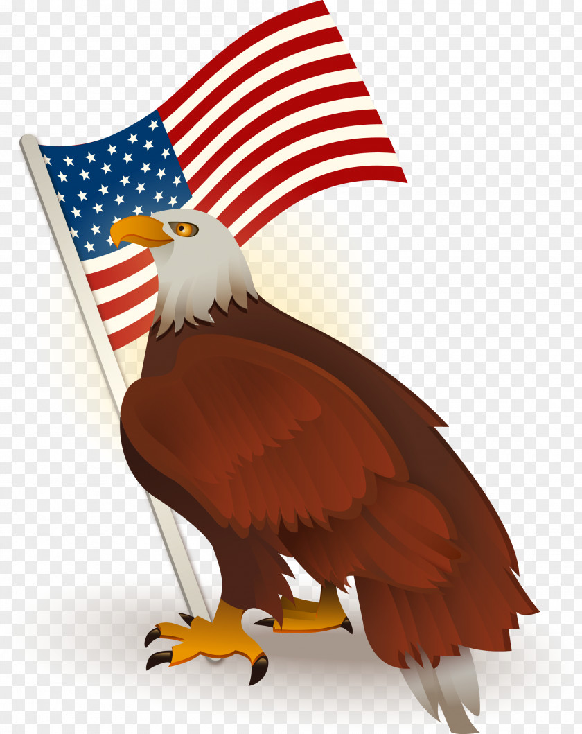 American Flag Bald Eagle Of The United States Clip Art PNG