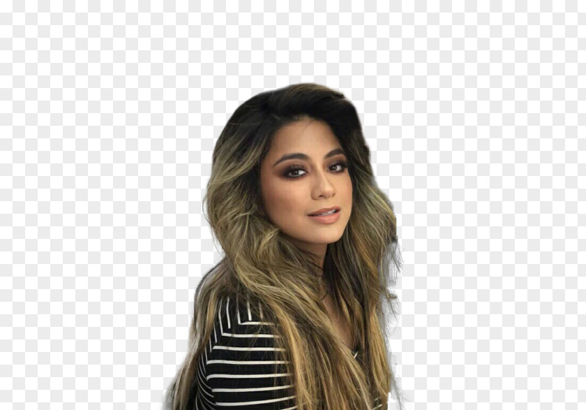 Ellie Goulding Ally Brooke Fifth Harmony PSA Tour The X Factor (U.S.) Hair PNG
