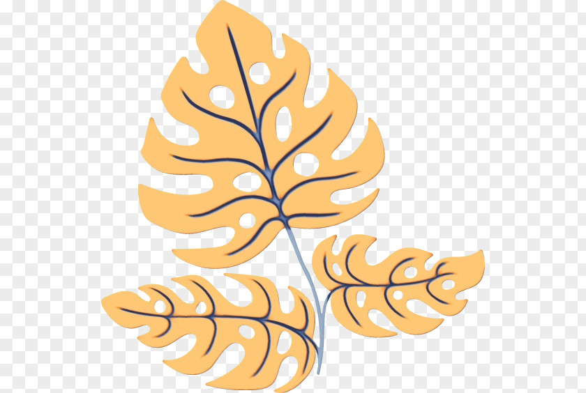 Leaf Tree Meter Fruit Branching PNG