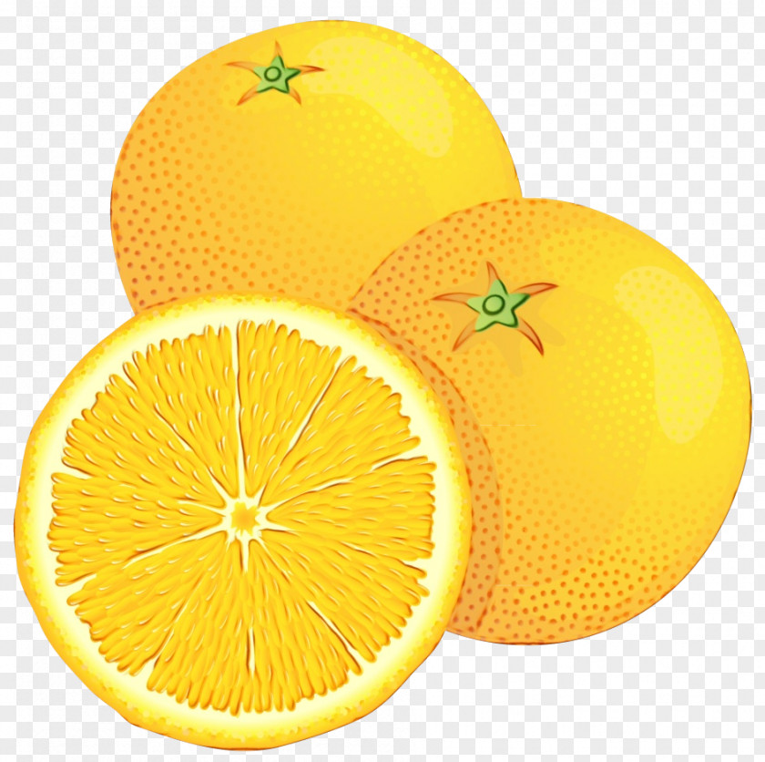 Pomelo Juice Cartoon Nature Background PNG