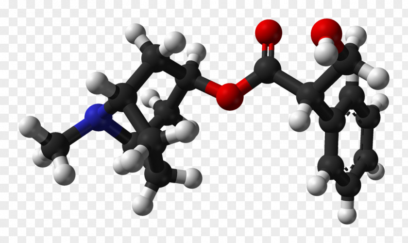 Atropine Nerve Agent Chemistry Pharmaceutical Drug Belladonna PNG