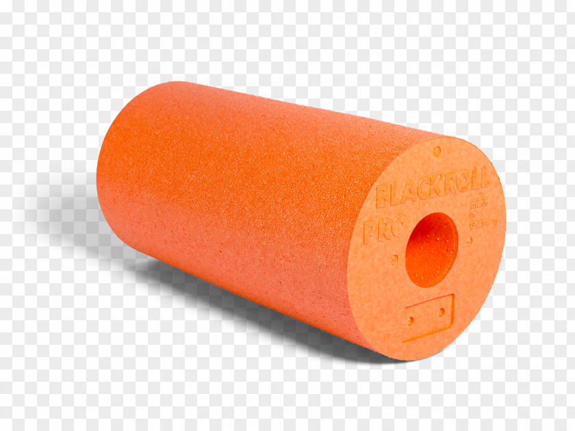 BLACKROLL SCHWEIZMasage Blackroll AG Myofascial Release .ch Feel Best GmbH PNG