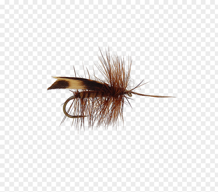 Fly Tying Artificial Fishing Insect Nymph PNG