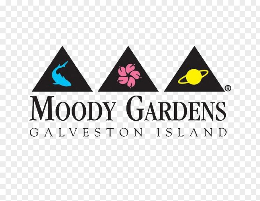 Hotel Moody Gardens Rainforest Pyramid Resort Amusement Park PNG