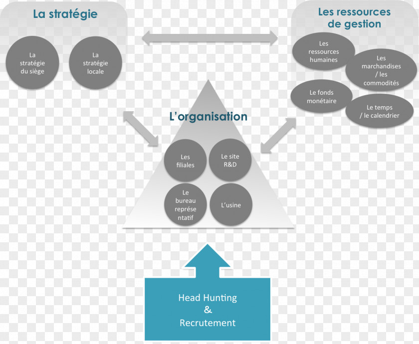 Marketing Recruitment Organizational Chart Empresa Human Resource Management PNG