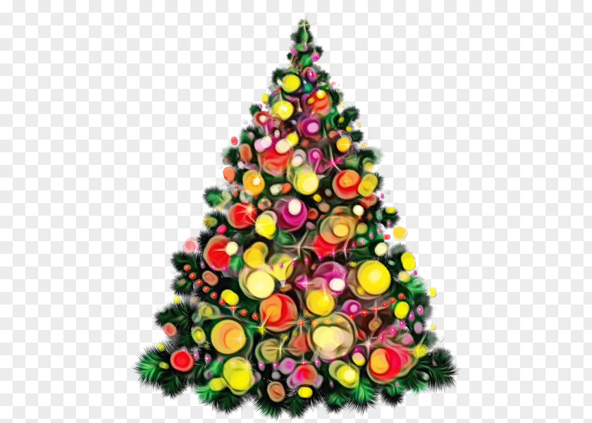 Plant Christmas Tree PNG