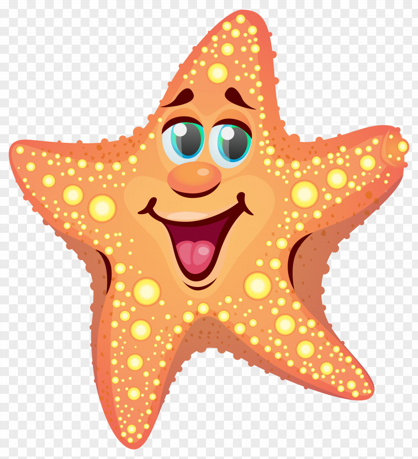 Starfish Cliparts Cartoon Drawing Clip Art PNG