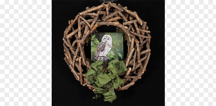 Barred Owl Bird Squirrel Feather PNG