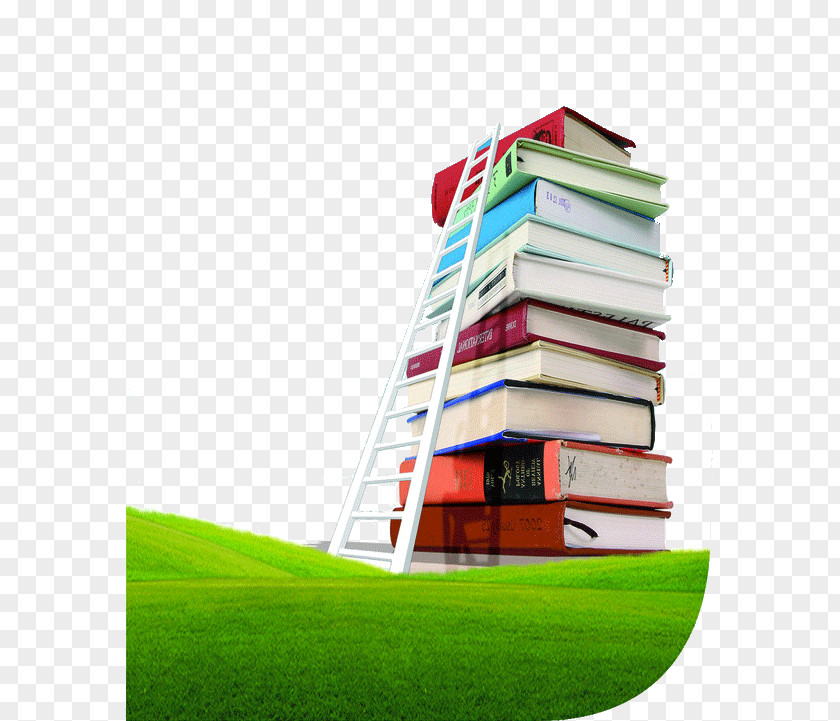 Ladder Of Success Sea ​​books Library Science Classification Librarian And Information PNG