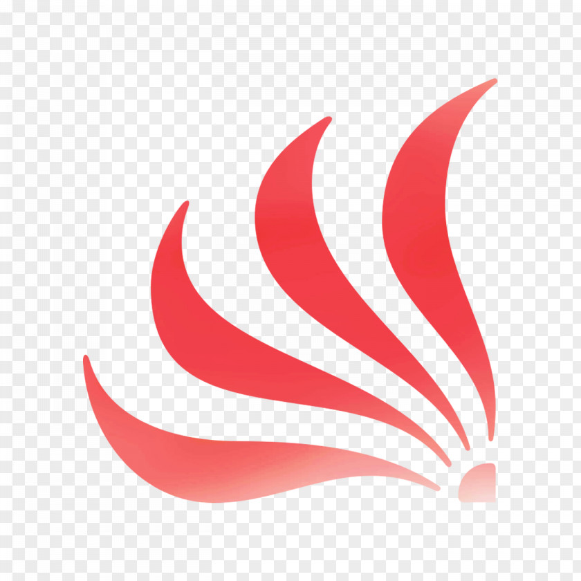 Logo Font Desktop Wallpaper Product Design PNG