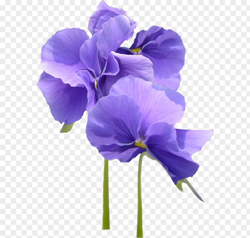 Violet Parr Flower Pansy PNG