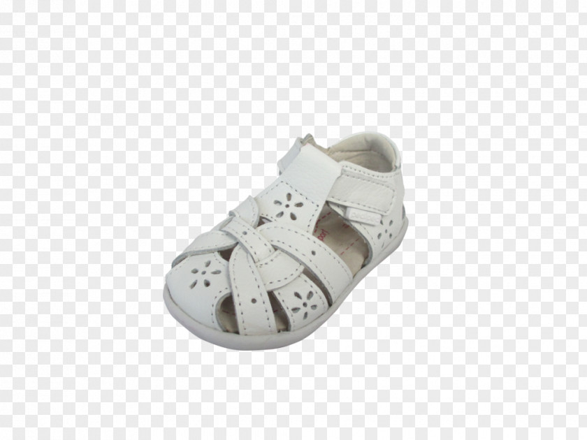 Bear Foot Shoe Product Design Sandal PNG