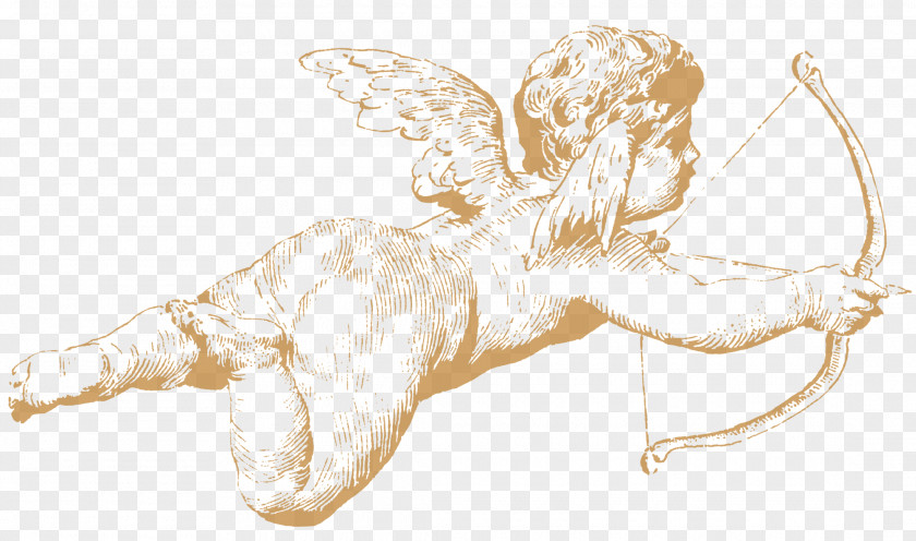 Esthetic Cosmetology Cherub Cupid Drawing Angel Love PNG