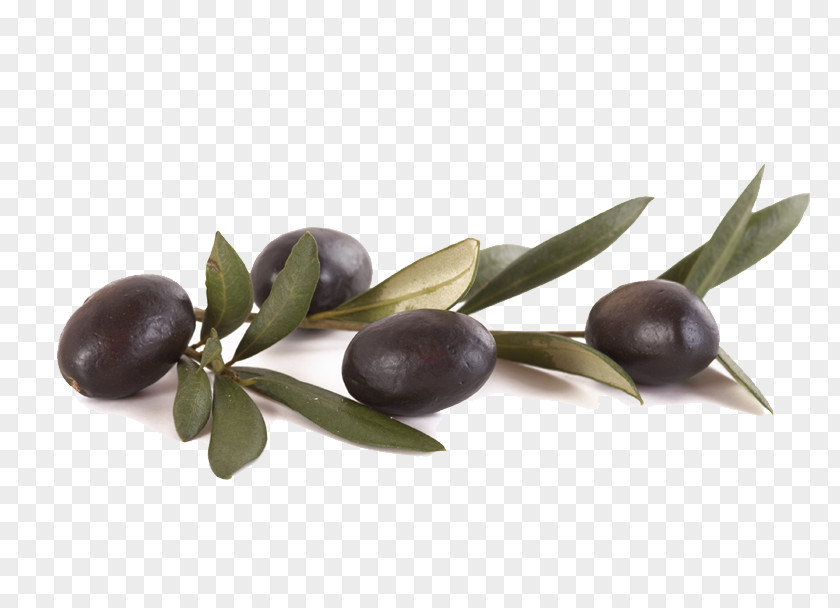 Olive Oil Stock Photography PNG