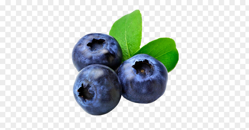 Blueberry Muffin Fruit Food PNG