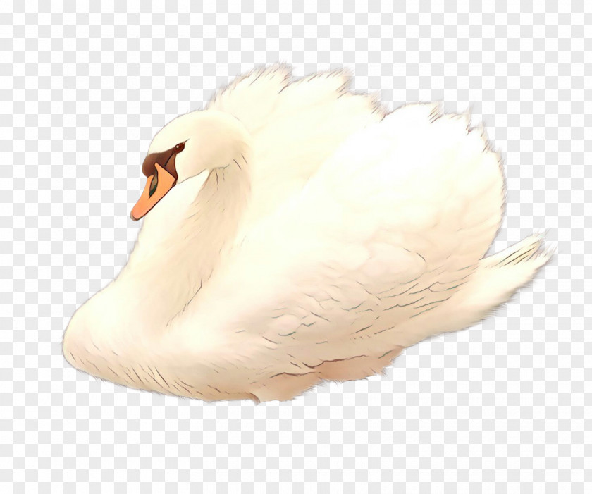 Fur Goose Water Background PNG
