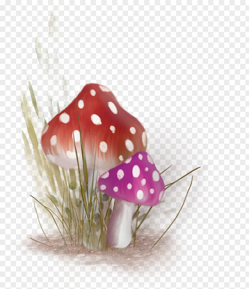 Red Fresh Mushroom Decoration Pattern Pixel Clip Art PNG