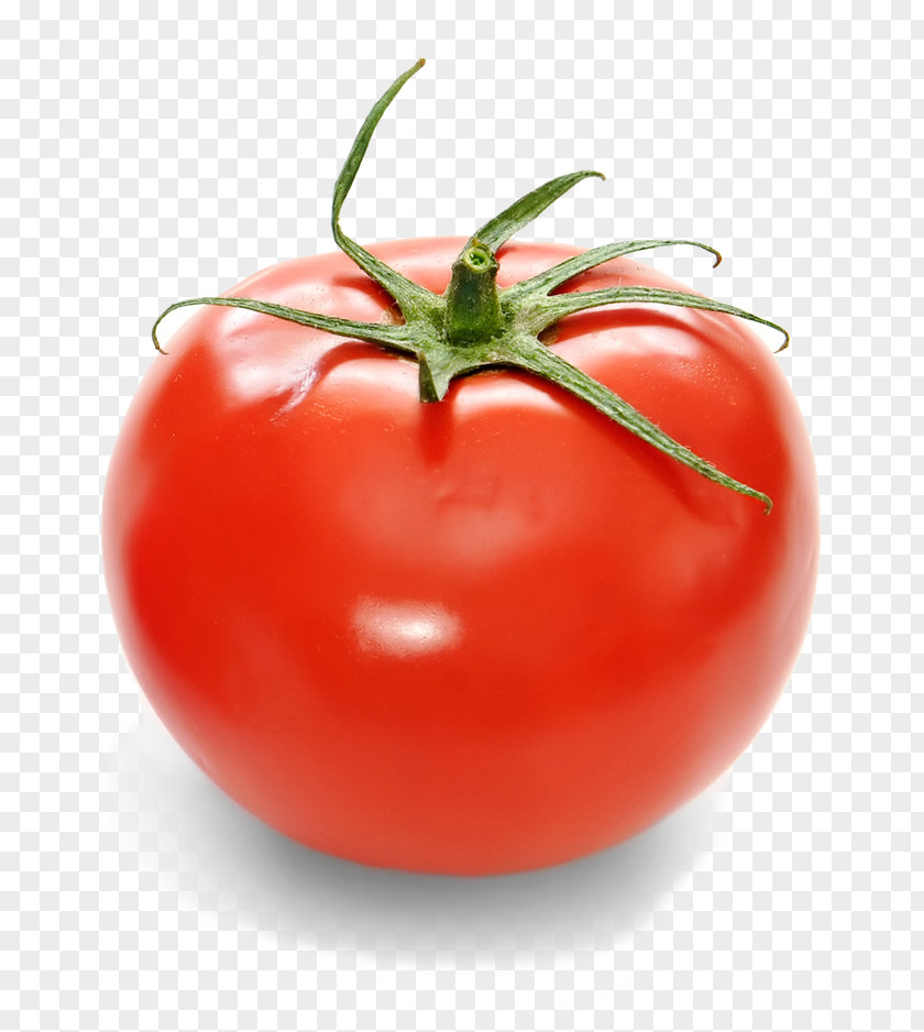 Salad Italian Cuisine Tomato Soup Clip Art GIF Food PNG