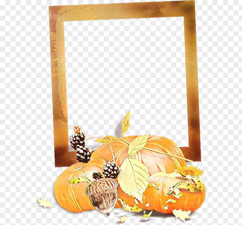 Squash Plant Picture Frame PNG