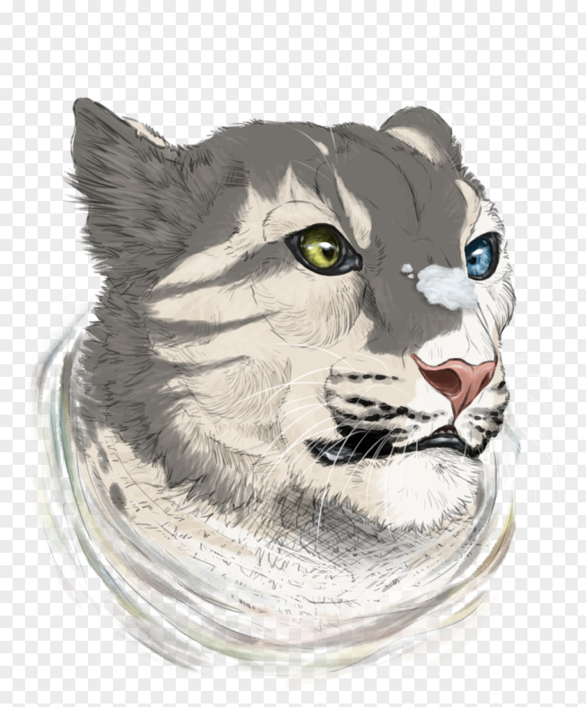 Cat Whiskers Drawing Fur PNG