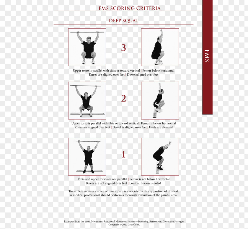 Cook Out Functional Movement Squat Exercise Torso Assessment PNG