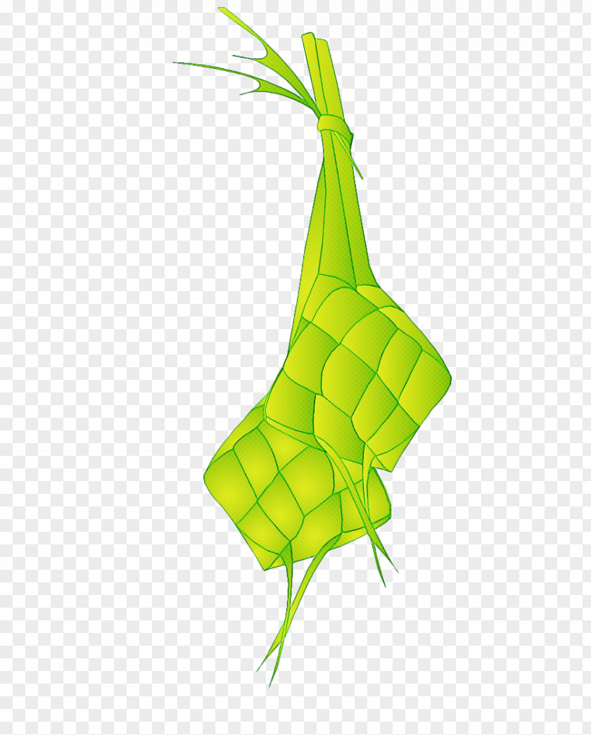 Leaf Plant Stem Plants Science Biology PNG