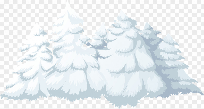 Snow Tree Cedar Clip Art PNG