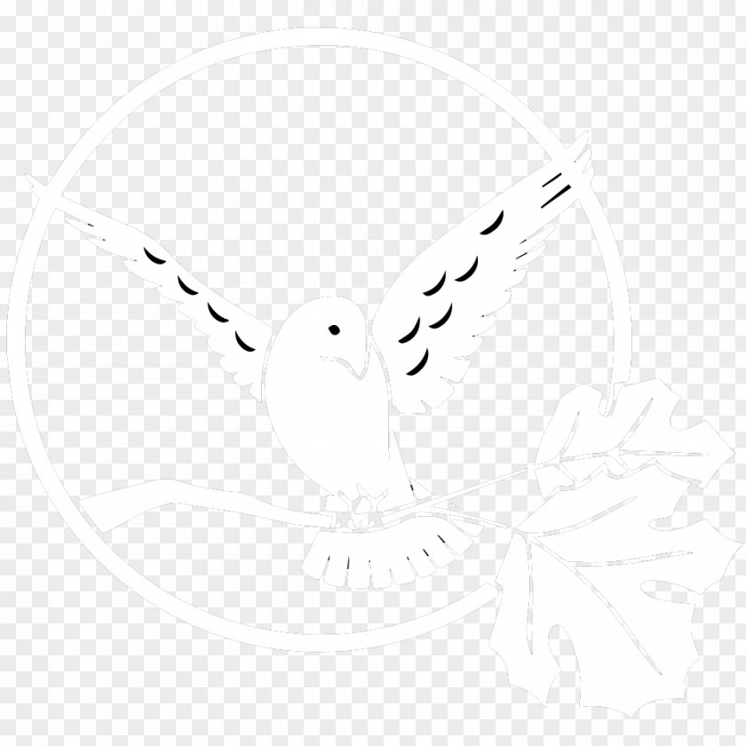 Bird White Product Design Headgear Line Art Point Angle PNG