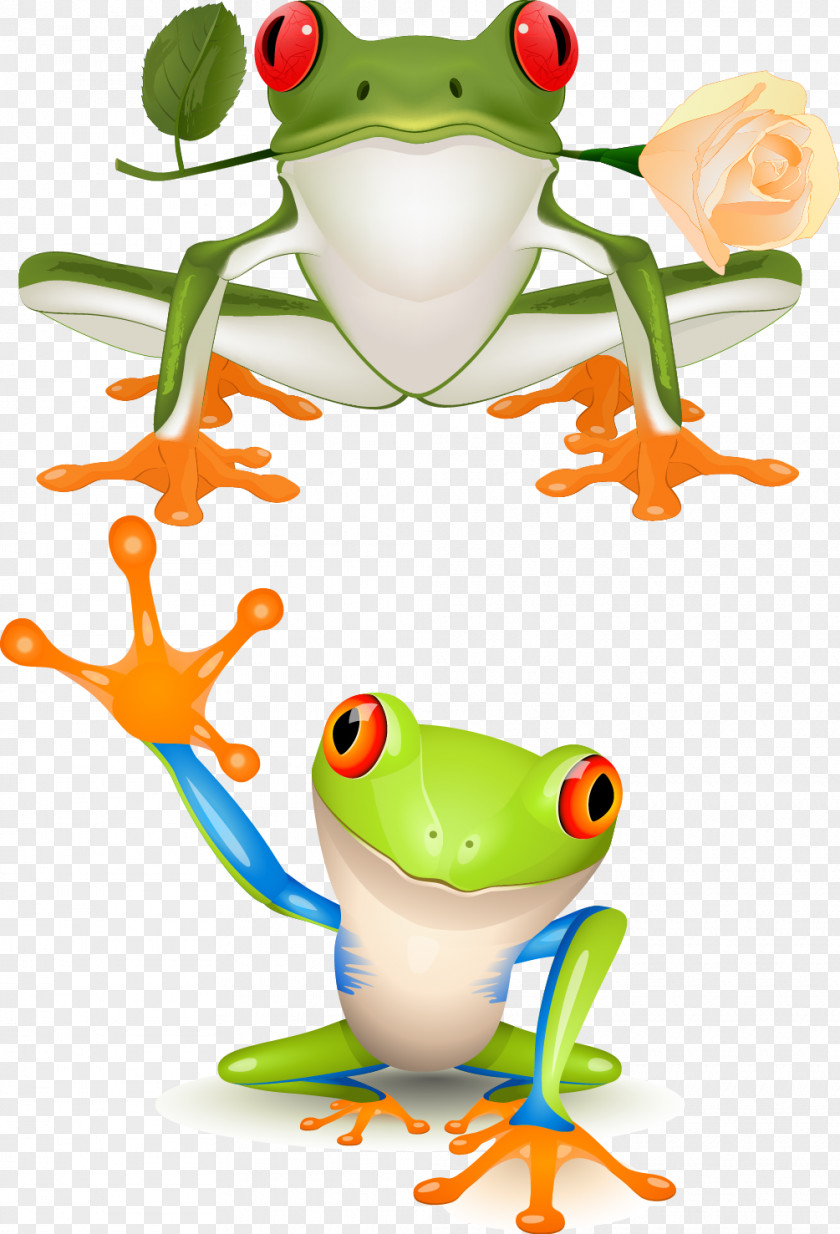 Cartoon Frog Red-eyed Tree Clip Art PNG