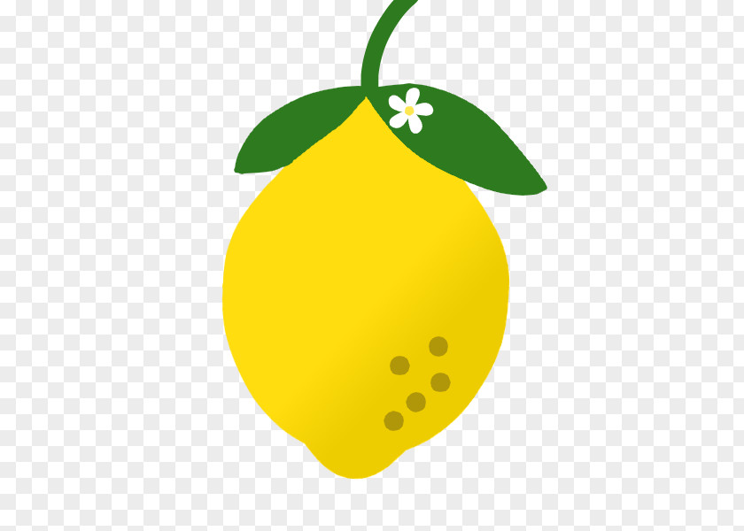 Lemon Clip Art Illustration Image Rutaceae PNG