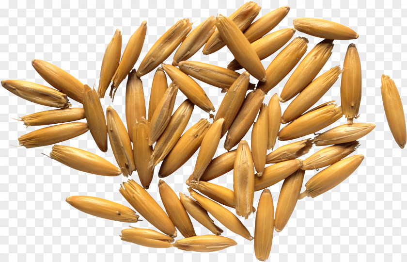 Rice HQ Pictures Horse Oatmeal Whole Grain PNG
