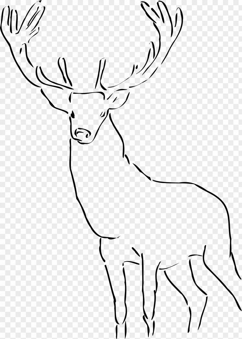 Deer Drawing Clip Art PNG