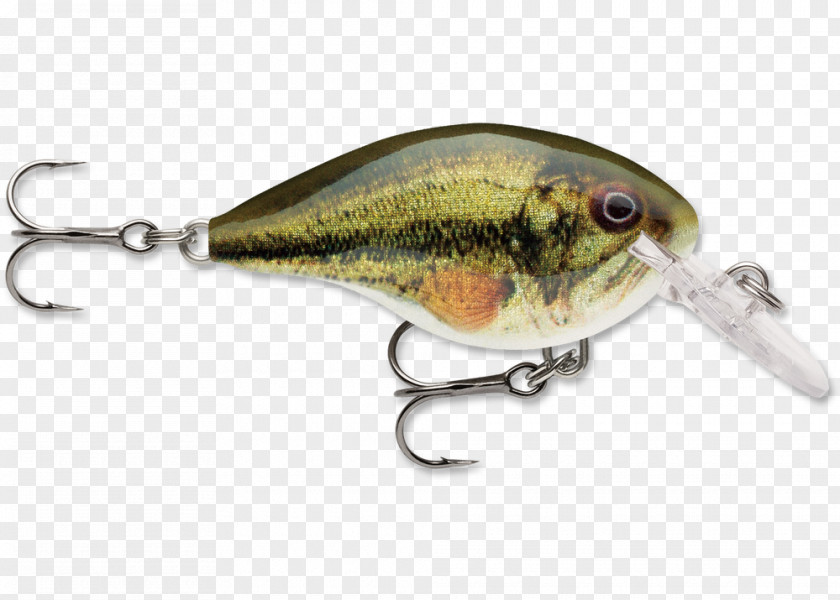 Fishing Baits & Lures Wart Rapala Green PNG