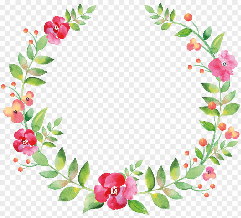 Flower Vector Graphics Illustration Picture Frames Greeting & Note Cards PNG