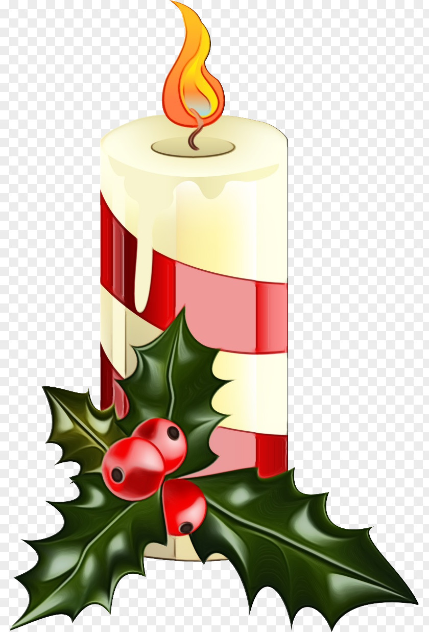 Interior Design Plant Birthday Candle PNG