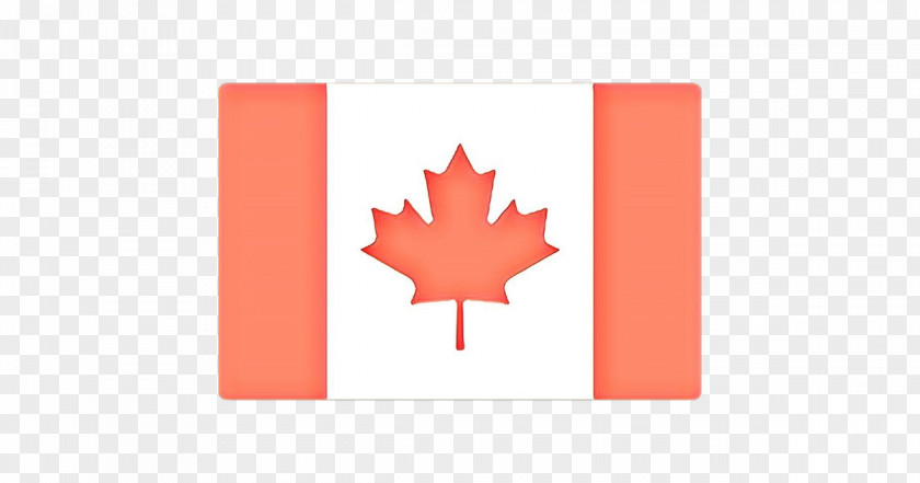 Plane Soapberry Family Canada Maple Leaf PNG