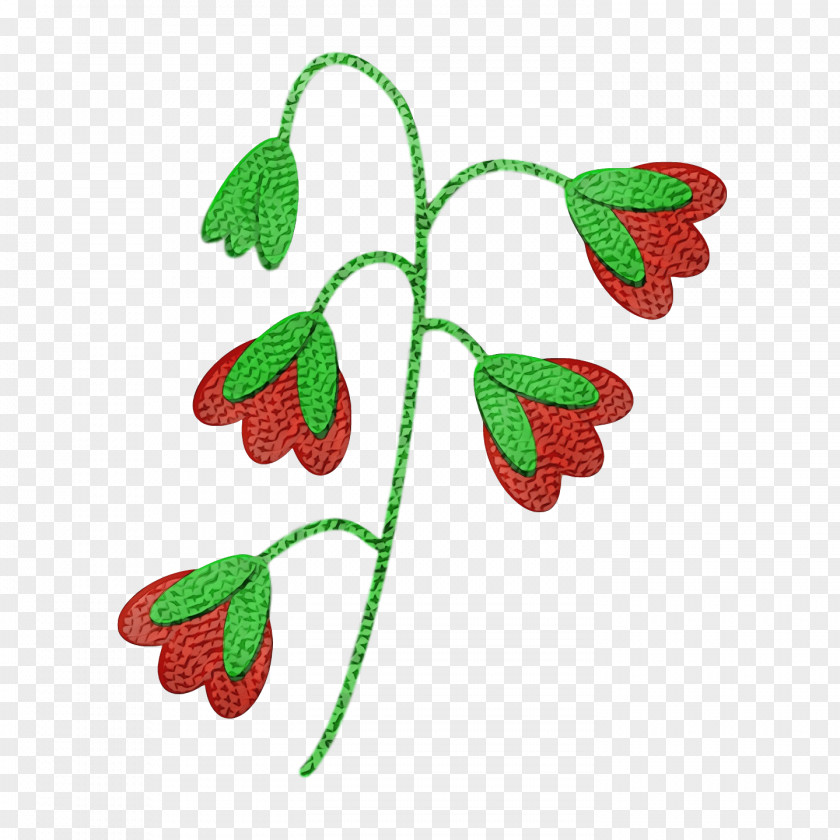 Plant Stem Leaf Flower Branch Fruit PNG