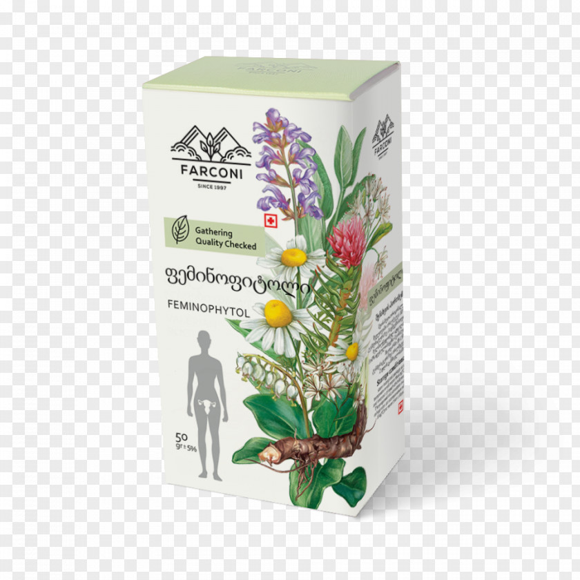 Salvia Officinalis Plant PNG