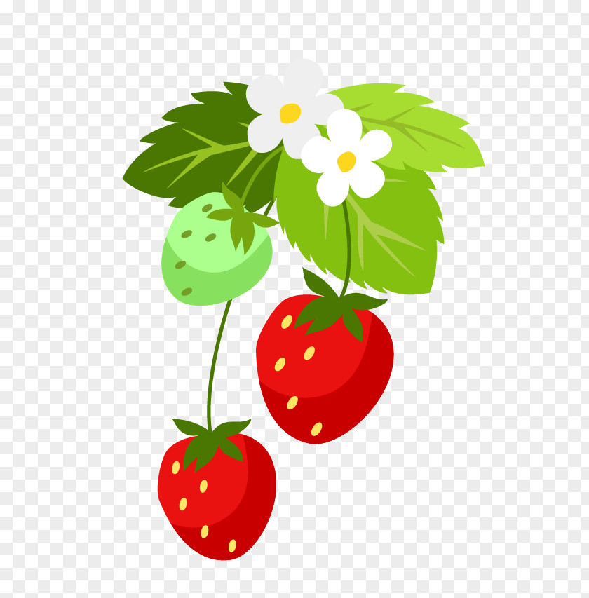 Strawberry Clip Art Leaf Flower PNG