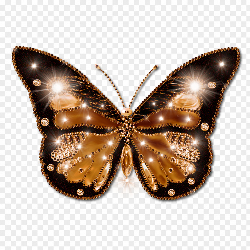 Beautiful Butterfly Desktop Wallpaper Clip Art PNG