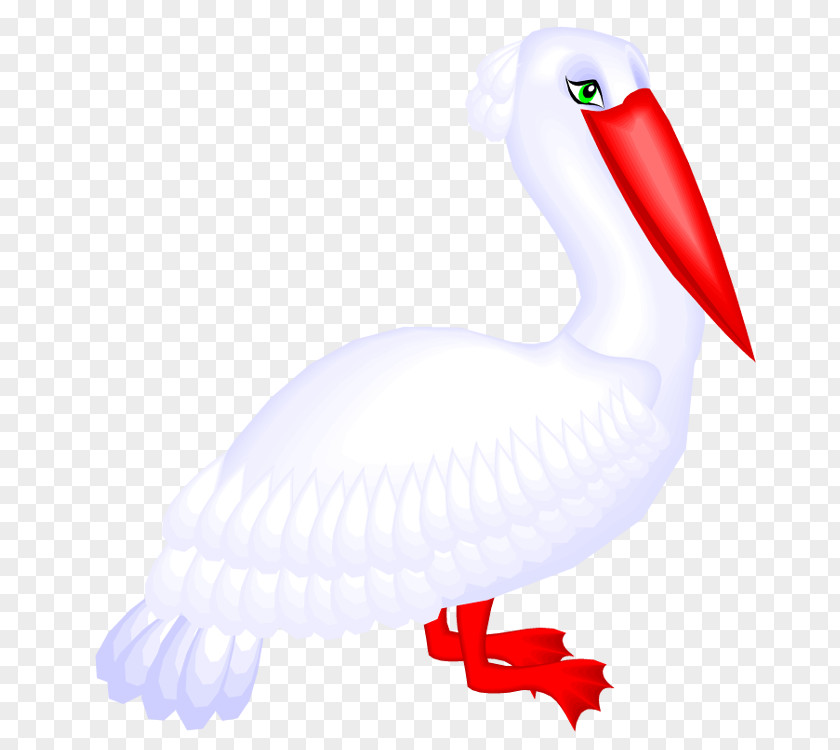 Bird Windows Metafile Pelican Clip Art PNG