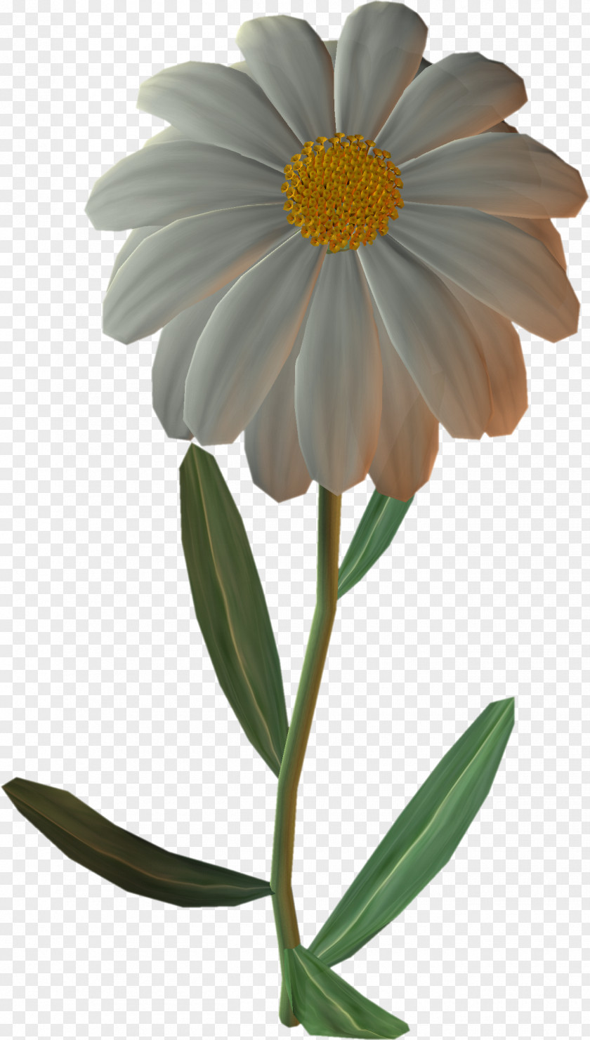 Blumen German Chamomile Flower Common Daisy Clip Art PNG