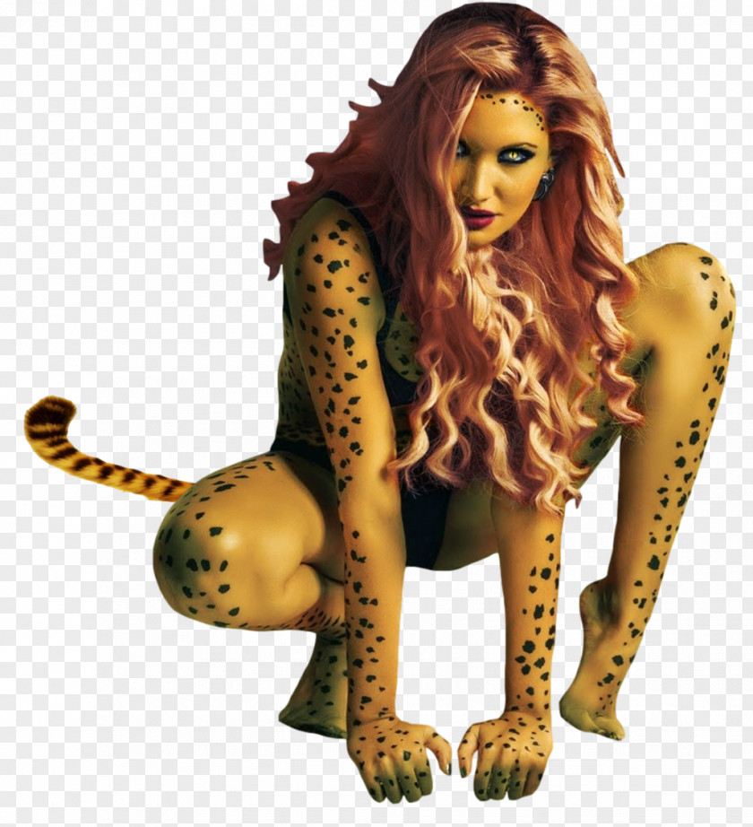 Cheetah The Flash Batgirl Batman & Robin PNG