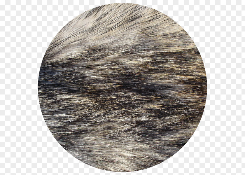 Dog Fur Texture Mapping Arctic Fox PNG