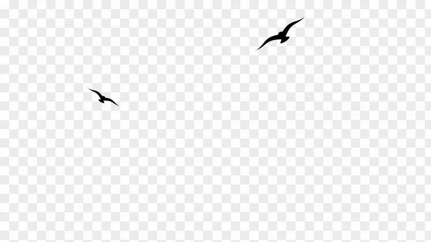 Golden Rooster Beak Bird Migration Crane Font PNG