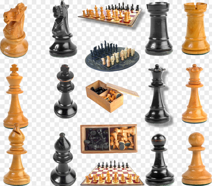 International Chess Piece Knight PNG
