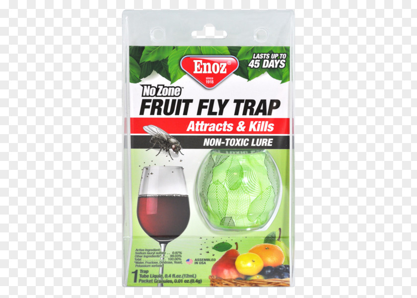 Mosquito Trapping Common Fruit Fly Insect PNG